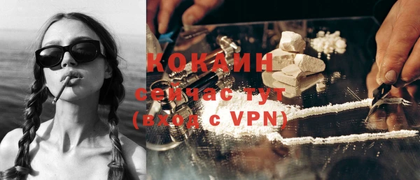 твердый Вяземский