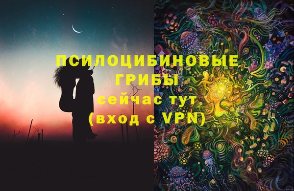 твердый Вяземский