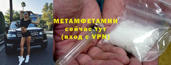 твердый Вяземский