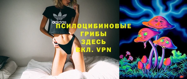 твердый Вяземский