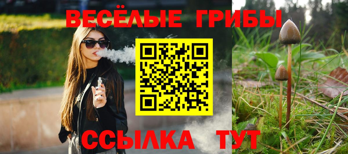 Псилоцибиновые грибы Psilocybe Геленджик