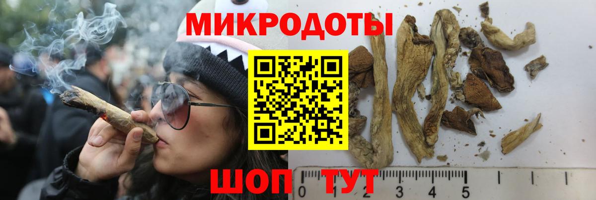 Галлюциногенные грибы Cubensis  Геленджик 